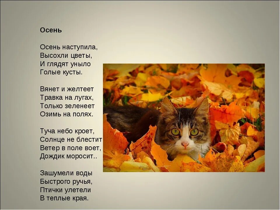 Стихотворение уныло