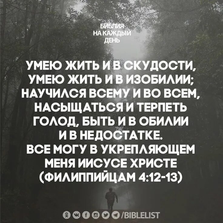 Умею жить в скудости умею жить в изобилии. Все могу в укрепляющем меня Иисусе. Могу жить в скудости могу и в изобилии. Умею жить в скудости умею жить в изобилии Библия. Голод стих