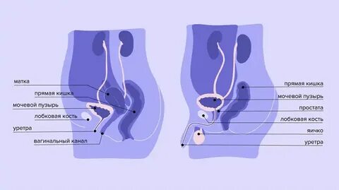 Лера Кудрявцева порнода