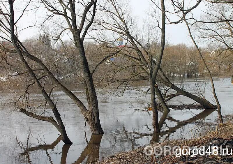 Высокий подъем воды в реке. Паводок в Липецкой области. Подтопления в Липецкой области. Данков паводок. Половодье в Данкове.