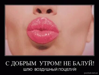 Твои соленые губы целуют