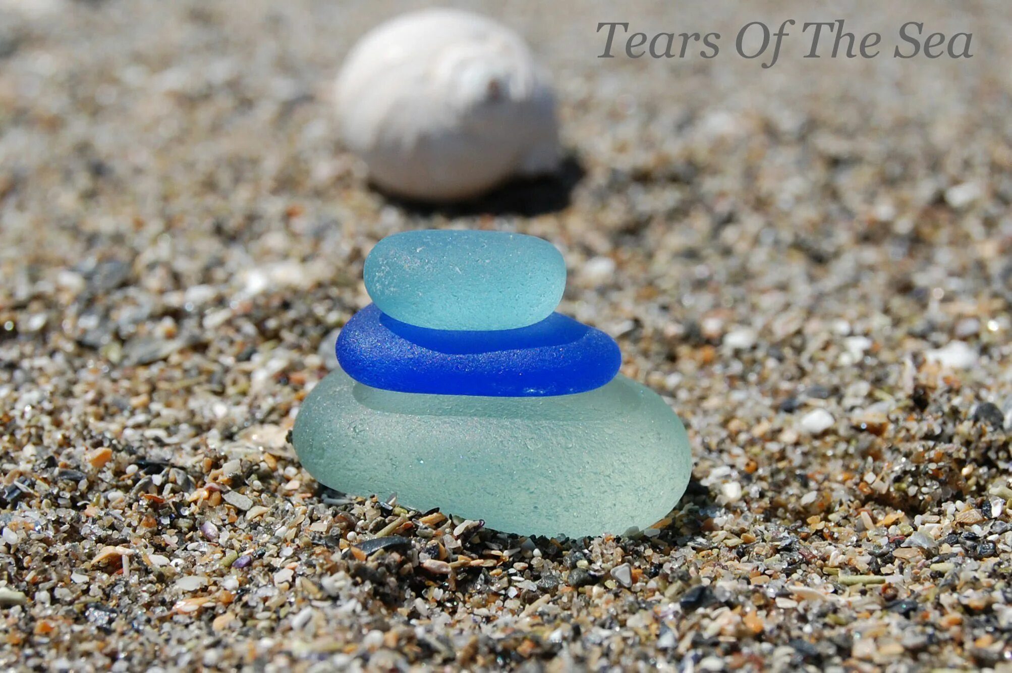 Torn seas