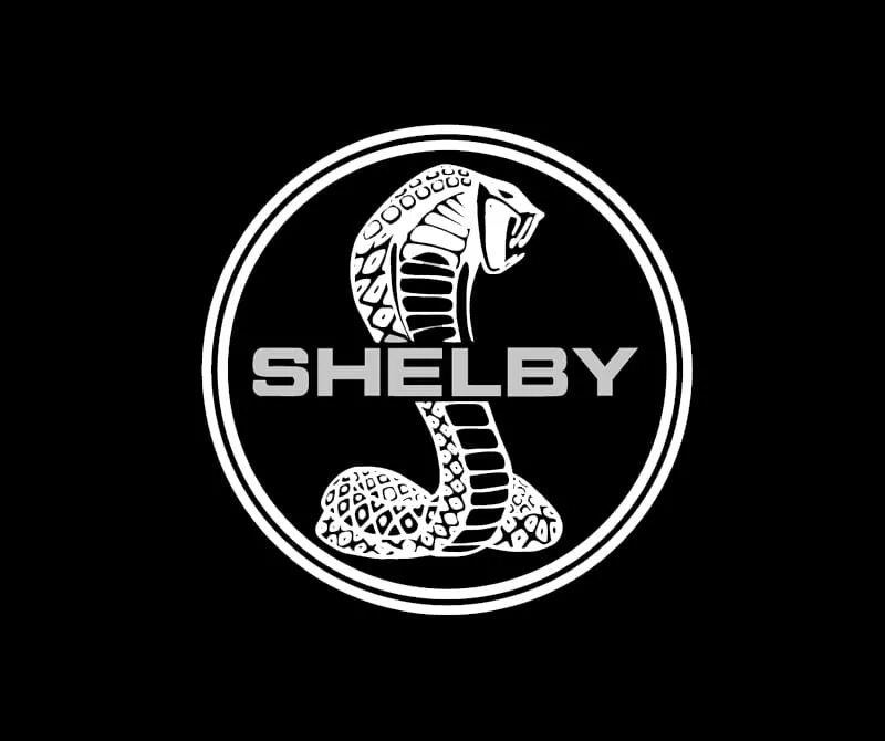 Shelby home. Shelby home. Ford mustang shelby gt350 2011. Shelby home. Шелби gt 350 форд мустанг gt350.