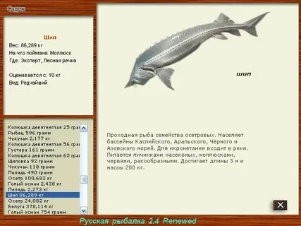 Рыбалка 3 волга