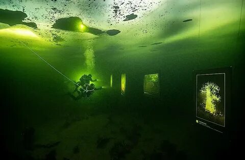 Белое море под водой