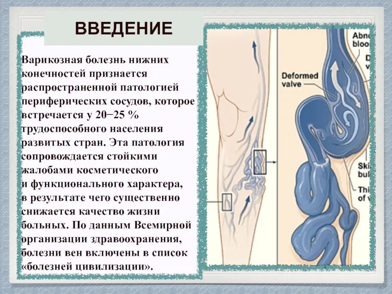 Варикоз расширение вен. Препараты от расширения вен на ногах. Диета при варикозе нижних. Варикозно трофическая язва голени. Таблетки от тяжести в ногах.