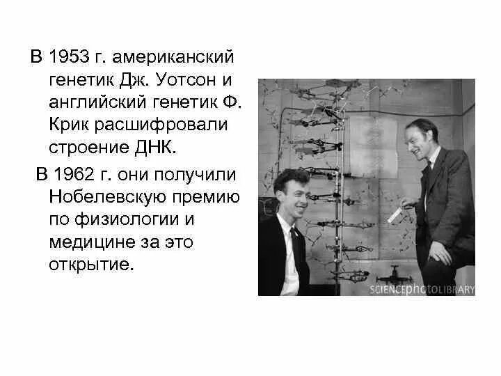 1953 - Ф. крик и Дж. Уотсон. Дж Уотсон и ф крик. Дж Уотсон и ф крик получили Нобелевскую премию за. Дж крик