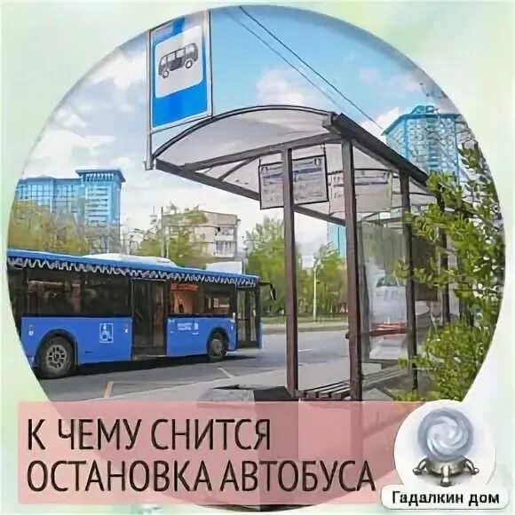 Аня ждет автобус на остановке. К чему снится автобусная остановка. К чему снится ждать автобус на остановке. К чему снится автобус. К чему снится останавливать автобус.