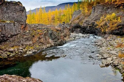 Река северная красноярский