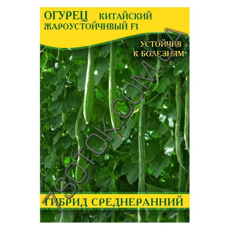 Семена китайских огурцов. Огурец китайский холодоустойчивый f1. Китайский огурец семена.