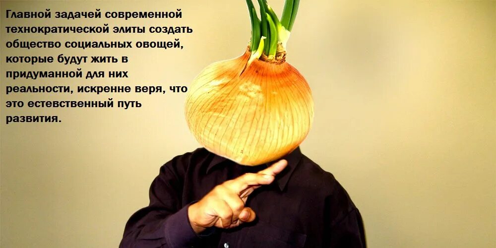 Овощ или овощь как. Лук овощ. модный лук овощ. овощи на аву. человек овощ.