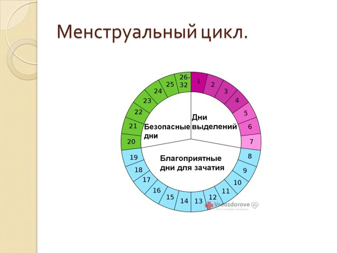 Рассчитать месячные