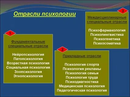 К прикладным отраслям психологии относятся