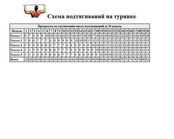 Упражнения подтягивания отжимания. Схема подтягиваний и отжиманий на брусьях. Турник и брусья программа тренировок для новичков. Схема турник брусья отжимания пресс. Программа турник и брусья на массу для новичков.