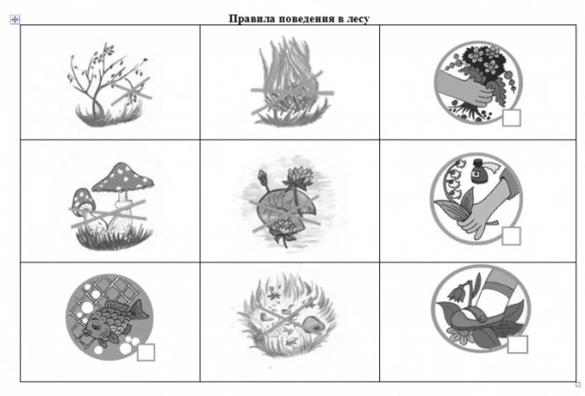 Задания на экологическую тему. Задания для дошкольников поведение в лесу. правила поведения в лесу задания для дошкольников. правила поведения в лесу раскраска. правила поведения в лесу.