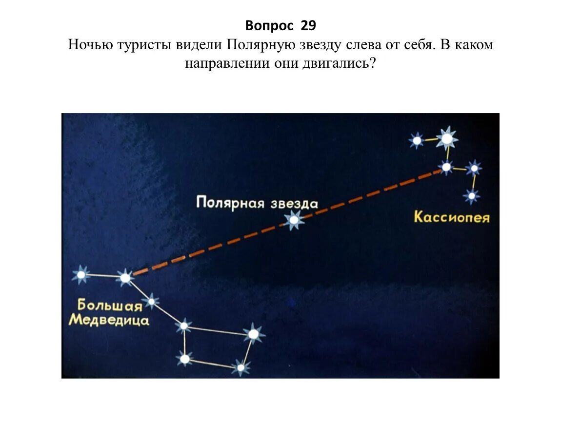 Какой тип характерен для медведицы. Созвездие полярной звезды медведицы и Кассиопеи. Полярная звезда от ковша большой медведицы. Большая Медведица Кассиопея и Полярная звезда. Кассиопея Полярная звезда расположение.