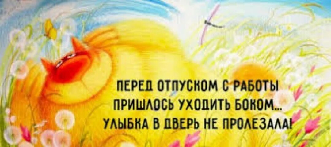 Не было отпуска 5 лет
