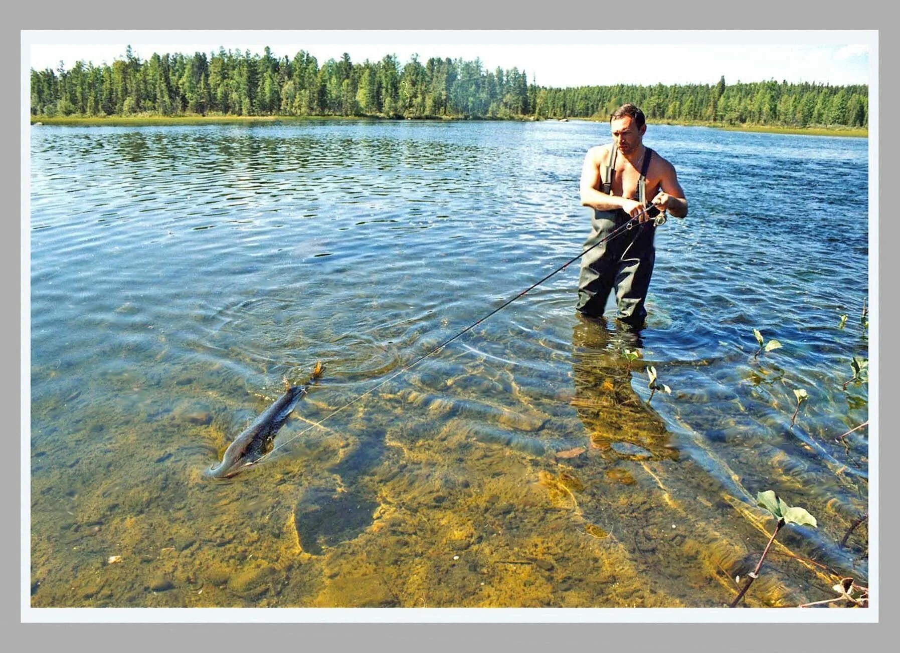 Рыбалка на озере. Рыбалка в Сибири. Рыбалка на реках Сибири. Рыба в озере. Рыболовный в озерах