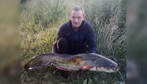 Турк сом