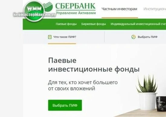 Информация о паевых инвестиционных фондах. ПИФЫ Сбербанка. Как закрыть ПИФ Сбербанка. Сбербанк инвестиции. Закрыть в Сбербанк управление активами ПИФ.