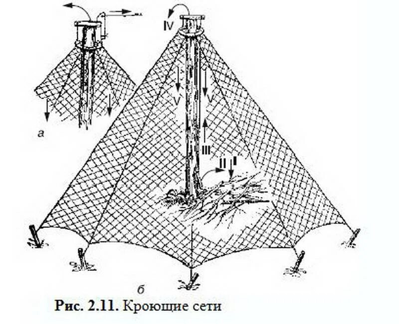 Ловушка для куропаток