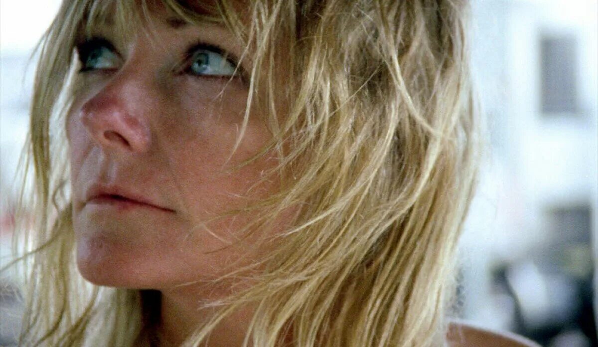 The brown bunny 2003