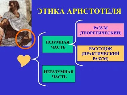 Принцип золотой середины аристотеля