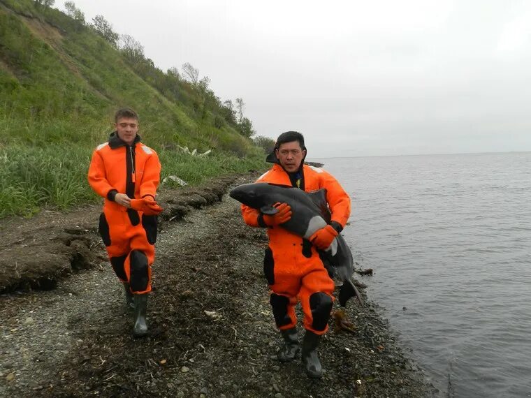 четверо помогающих