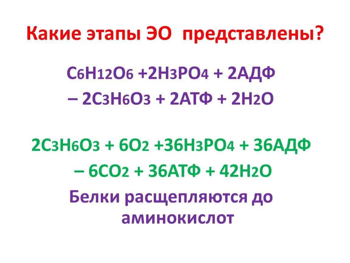 Любое 6 н. 2н2+о2=2н2о. С6н6 о2 со2 н2о. С3н4+н2о. С2н2+о2.