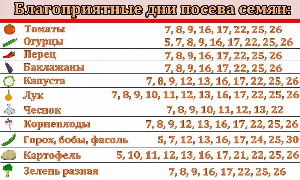 Благоприятные посадочные дни в мае. Май 2024 год посадочные дни. Лунный посевной календарь. Благоприятные дни для посадки в мае 2022. Май 2024 год посадочные дни.