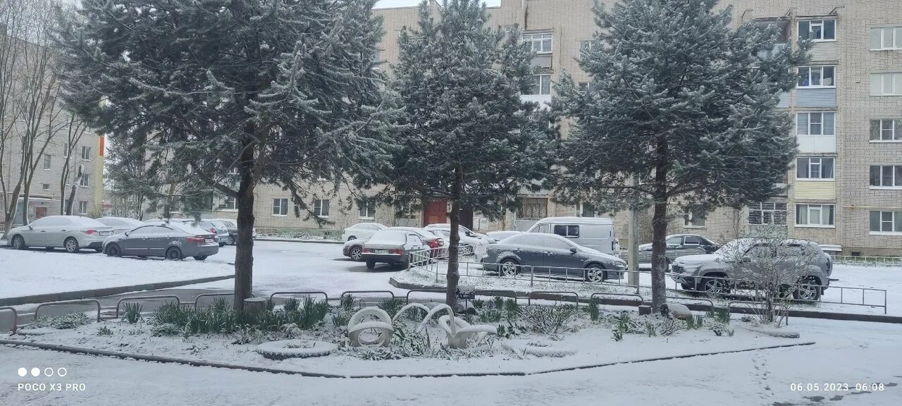 Снег. Снег в мае. Снегопад Вологда. Снегопад Ярославль. 1 мая выпал снег
