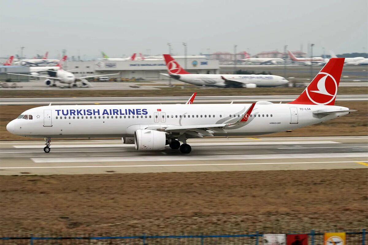 Airbus a321 turkish airlines. Turkish airlines авиакомпании турции. Аэропорт turkish airlines. Туркиш пулково. Стойка turkish airlines пулково.