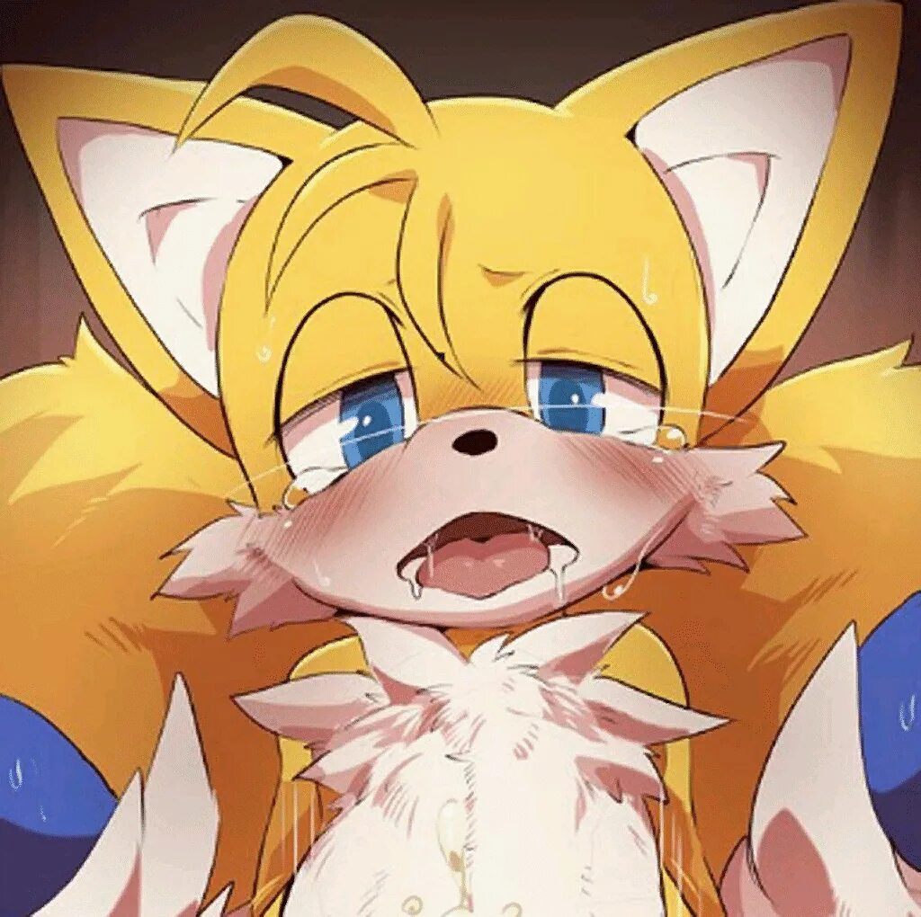 W tails cat. Майлз «тейлз» прауэр. Tails nsfw. Scrolller tails nsfw. Тейлз 2020.