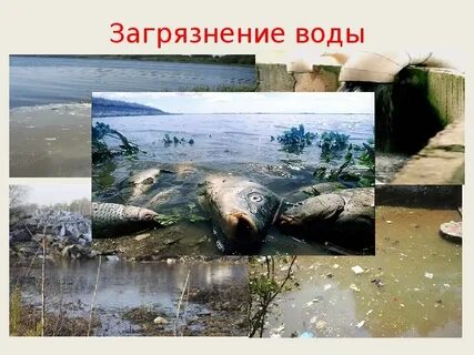 Экология экономики 3 класс окружающий мир презентация