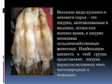 Выбери мех какого животного издавна считался самым