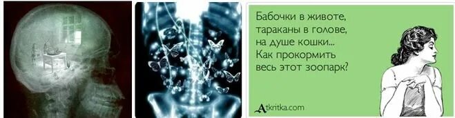 Бабочки в животе. Тараканы и бабочки в голове. В животе чувствую бабочки. Бабочки в животе тараканы в голове на душе кошки. Бабочки в животе песня текст