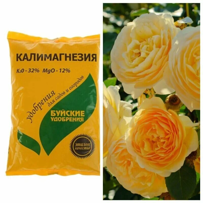 Калимагнезия для роз. Калимагнезия буйские удобрения. Удобрение калимагнезия 0,9кг. Калимагнезия для винограда. Калимагнезия состав удобрения.