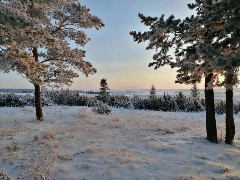 Прогноз погоды в р п ордынское. Зима в ордынском. ордынское природа. ордынское зимой. снег р.