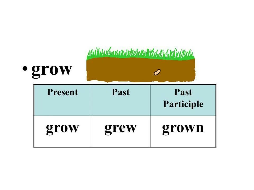 Grow в present perfect. The perfect present. Write в present perfect. Past participle grow. Grow глагол.