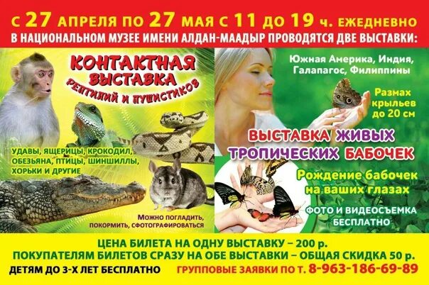 Выставка рептилий петропавловск. Выставка рептилий в красноярске. Выставка рептилий петропавловск. Выставка рептилий. Выставка рептилий кызыл.