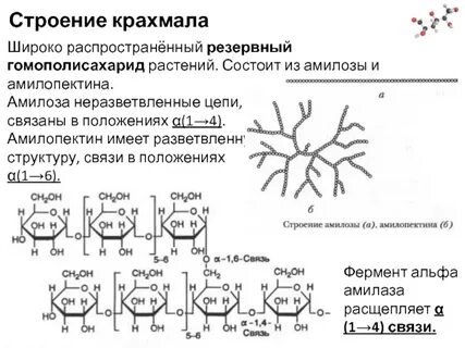 Состав крахмала