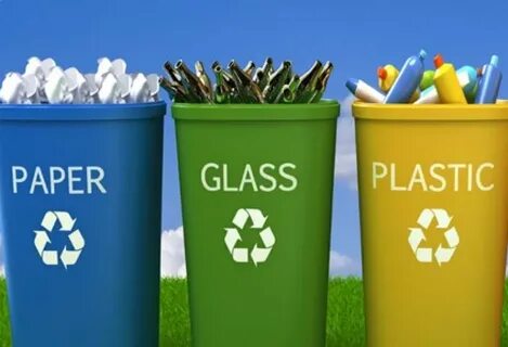 Plant flowers recycle cans collect