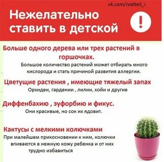 Безопасные растения