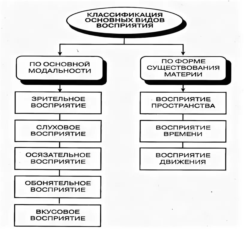 Виды восприятия слуховое. Классификация видов восприятия - слуховое, зрительное. Классификация восприятия в психологии. Особенности восприятия у детей с УО. Виды восприятия по форме существования материи.