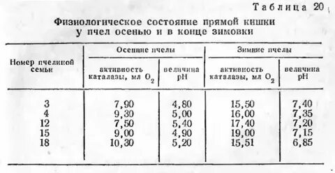 Сколько меда нужно оставлять пчелам
