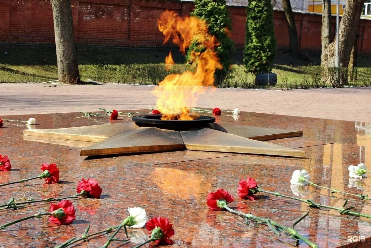 Гвоздики у обелиска. Вечный огонь вечная память. Площадь революции вологда вечный огонь. Вечный огонь вов. Памяти героев 1941 1945.