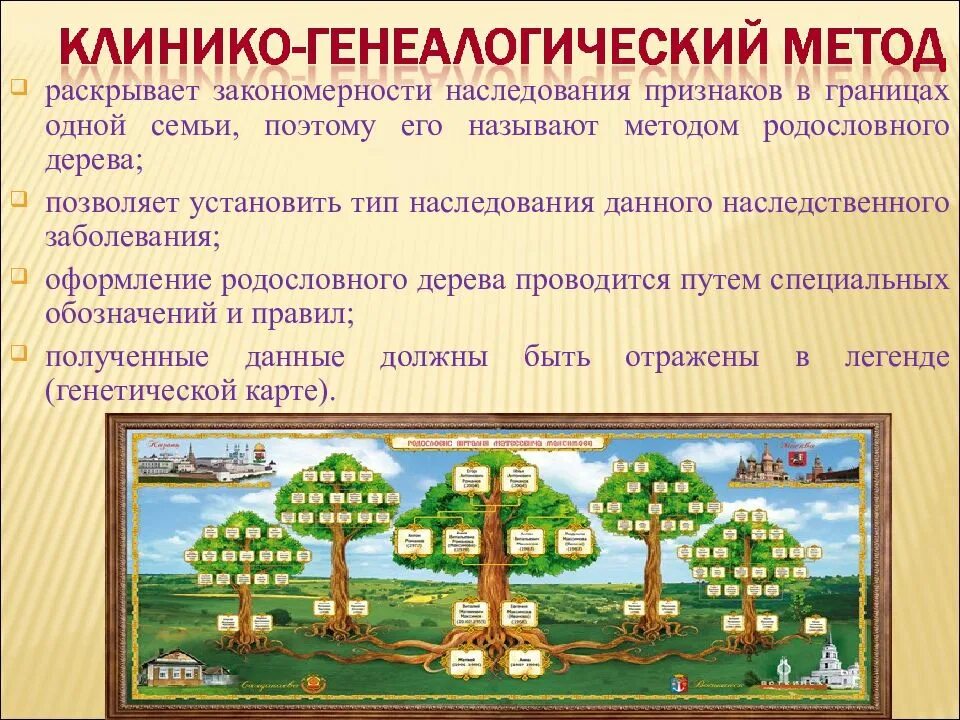 Метод изучения генетики основанный на анализе родословной. Клинико-генеалогический метод,составление родословных. Этапы генеалогического анализа клинико-генеалогический метод. Клиника генеалогический метод. Клиникогенеалогичесий метод.