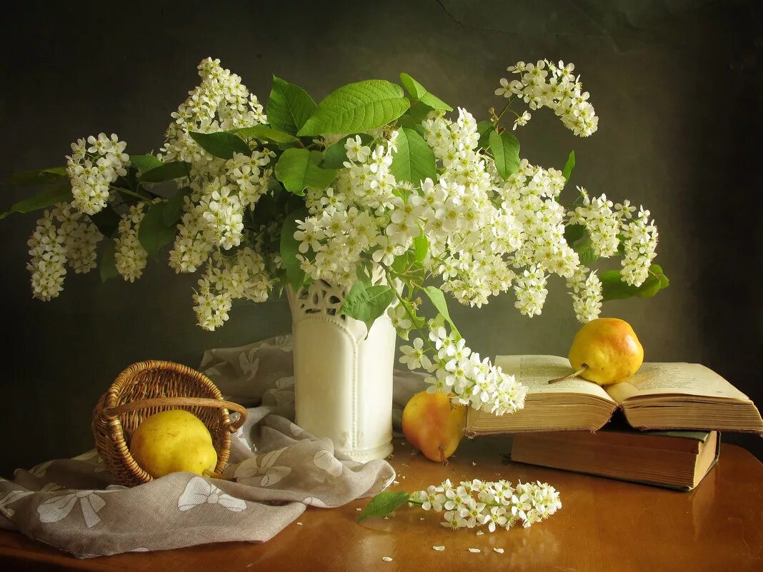 черемуха и одуванчики. черемуха в саду. букет черемухи. чаепитие в весеннем саду. черемуха, сирень сирень.