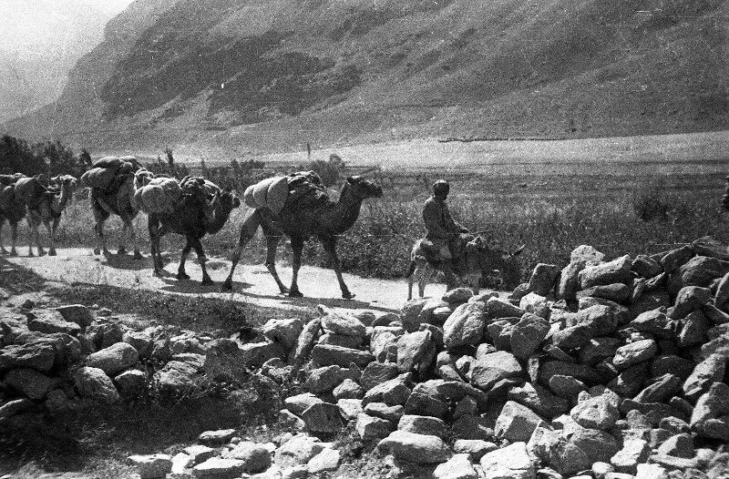 1937 Год Памир. Памир 19 век. Памир 1900 год. Памир исторические фото. Экспедиции в среднюю азию