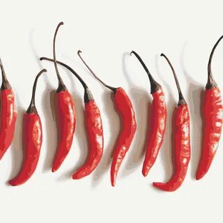 Chilly pepper